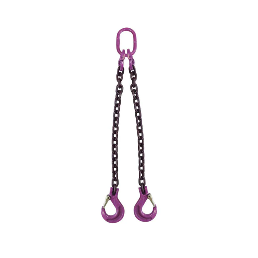 Chain Sling w/ Hooks - 2 Leg - Grade 100