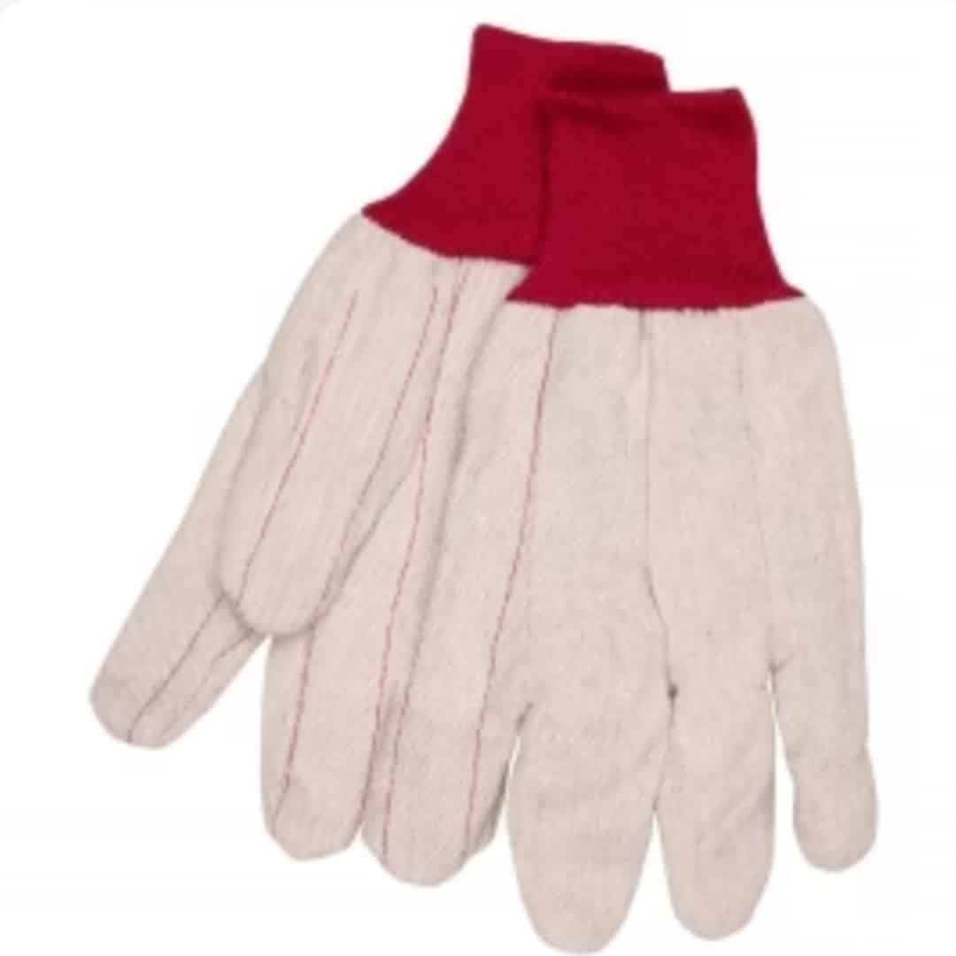 Standard Gloves - Pack of 12
